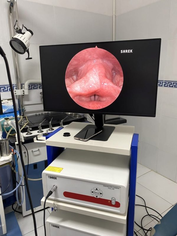 Bộ tai mũi họng full HD Shrek chi tiết